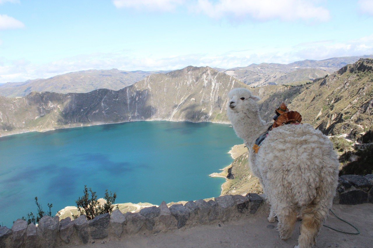 Quilotoa Lagoon Day Trip Quilotoa crater lagoon in the Ecuadorian Andes.