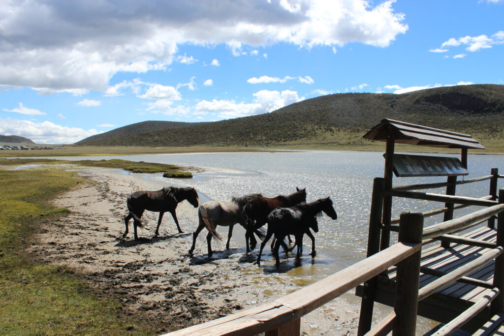 Top Things to Do in Cotopaxi