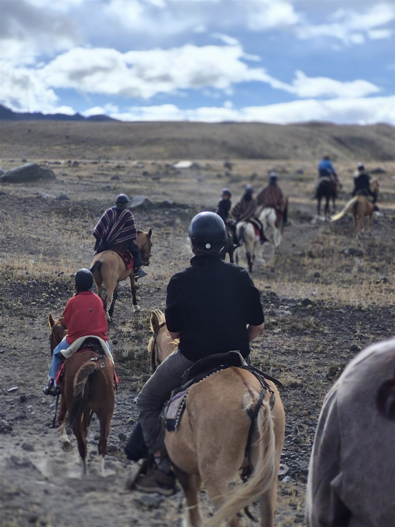 Horseback riding in the Cotopaxi highlands with Andean páramo and volcano scenery